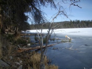 Frisken lake early April - Ice still on!