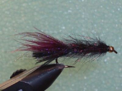 Triple F Leech Fly