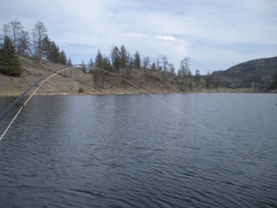 Morgan Lake April 2010