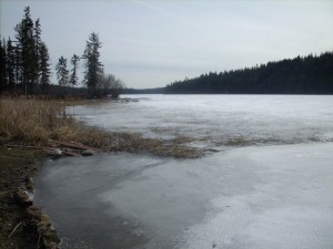 Roche lake early April - Ice still on!