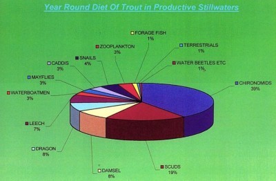 ... a year round overview of the bugs fish eat!