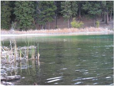 How to Long Line Troll for Trout 