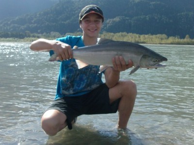 ... a bottom bounce sockeye salmon fresh out of the Fraser river!