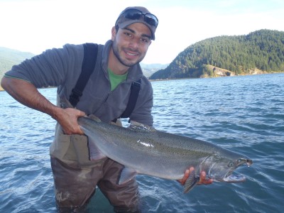 BC Harrison River Coho Salmon Fishing - holy silver bullet batman!