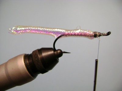 Baby Rainbow Fish Skull Streamers Fly Pattern