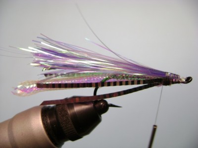 Baby Rainbow Fish Skull Streamers Fly Pattern