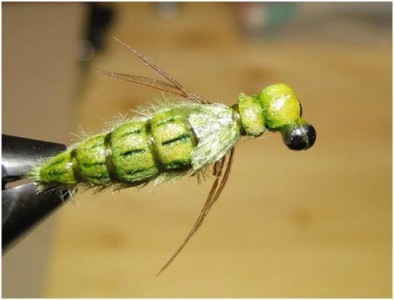 Mr. Rainbow's Foam Dragon Dragonfly Pattern