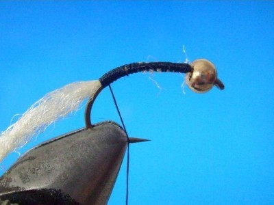 Sharks Caddsi Larva Fly