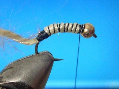 Sharks Caddsi Larva Fly