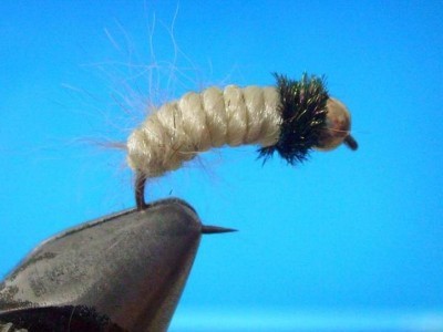 Sharks Caddis Larva Fly