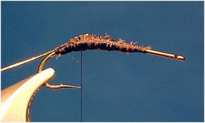 Sheridan Lake Sedge Pupa Fly