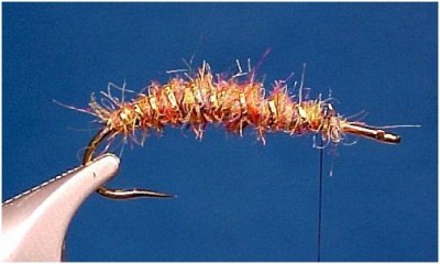 Sheridan Lake Sedge Pupa Fly