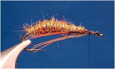 Sheridan Lake Sedge Pupa Fly