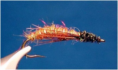 Sheridan Lake Sedge Pupa Fly
