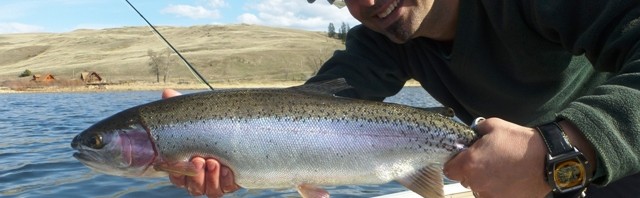 Early Spring Fishing Kamloops - Stump Lake