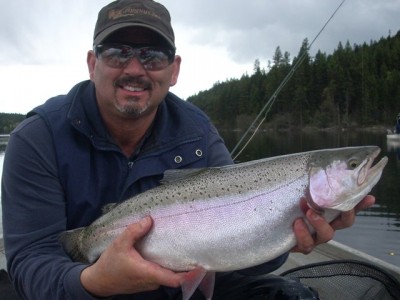 Kamloops Rainbow Trout!