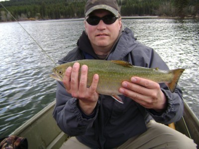 ... now that's a FAT brookie!