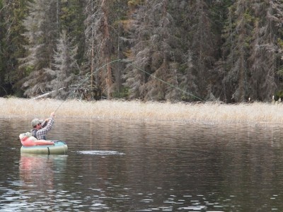 Fly Fishing Beyond Seasonal Peaks ... fish on!