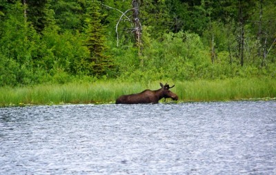 ... the things you see when you're fishing!