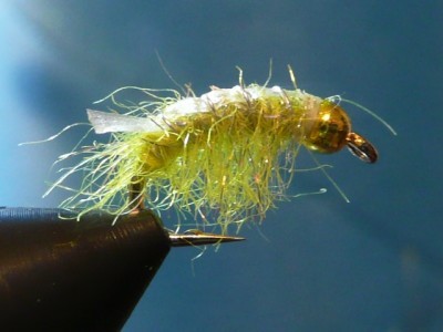 Scud Back Shrimp Fly ... a simple yet deadly fresh water shrimp fly pattern!