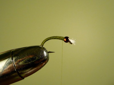 Major General ASB Chironomid Fly