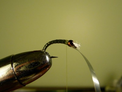 Major General ASB Chironomid Fly