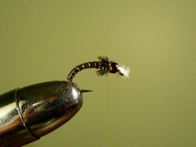 Major General ASB Chironomid Fly