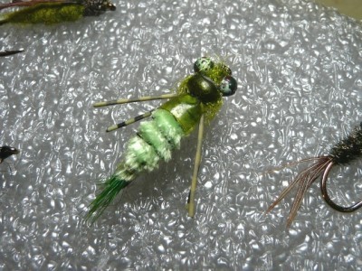 Gord's Molting Dragonfly Nymph Fly Pattern ... a perfect instar stage molting dragonfly nymph fly pattern!