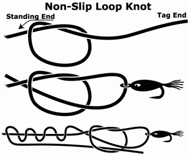 ... non slip loop knot to connect fly to tippet!