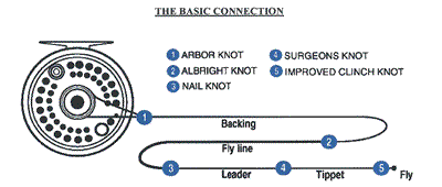 Fly Fishing Knots  Proven Fly Fishing Knots for BC Trophy Trout