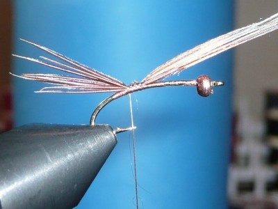 Flashback Pheasant Tail Nymph Fly