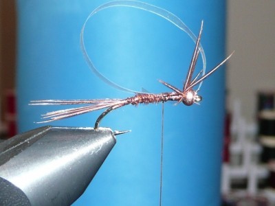 Flashback Pheasant Tail Nymph Fly