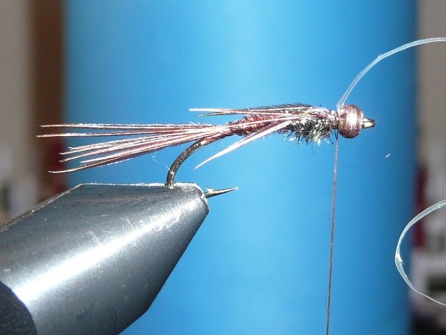 Flashback Pheasant Tail Nymph Fly