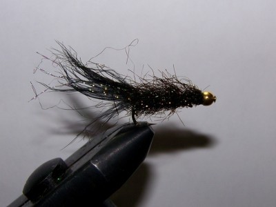 ... the fly of the day!