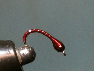 Wine & Gold Chironomid Pupa Fly ... the perfect chironomid pupa & bloodworm fly pattern!
