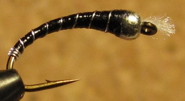 LARVA LACE SCUD - Fly Tying tutorials