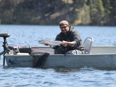 ... beauty 24" Roche lake silver bullet rainbow trout!