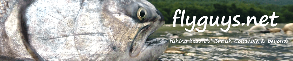 flyguys.net | fly fishing British Columbia & beyond!