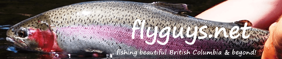 flyguys.net | fly fishing British Columbia & beyond!