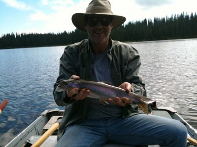 ... nice rainbow trout!