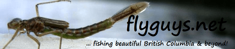 flyguys.net | fly fishing British Columbia & beyond!