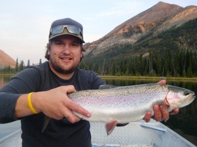 ... another Rocky Mountain beauty bow!