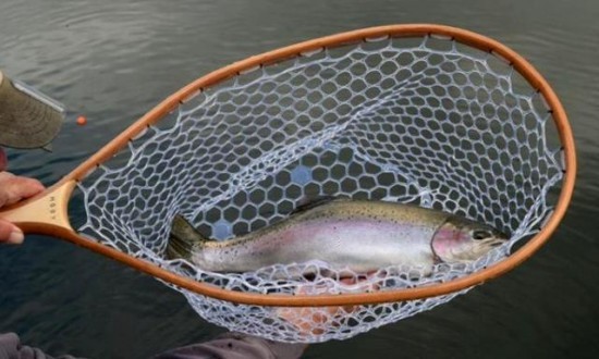 MOBY Kamloops Trophy Fly Fishing Nets