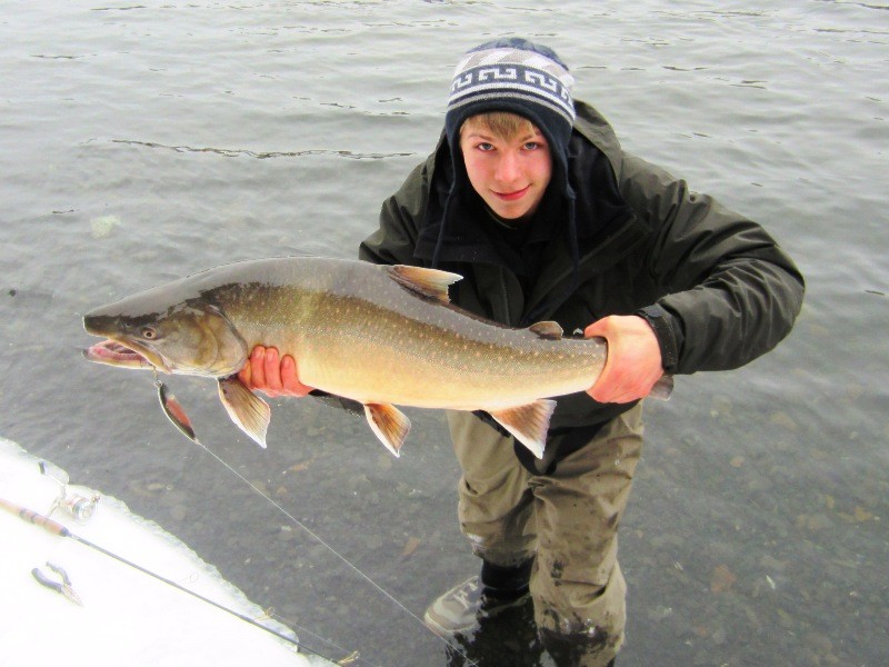 Northern BC Bull Trout Fishing Report - January 2013