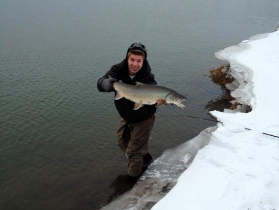 ... another monster peace river bull trout!