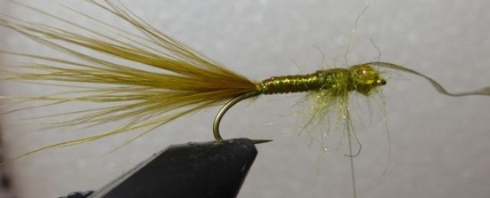 ... fold over the wing case on the stump lake damselfly nymph fly pattern!