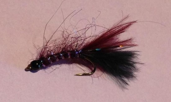 ... the UV Leech Fly Pattern - a BC Interior Still Water lake must have fly!