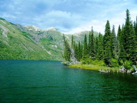 ... fly fishing wild rocky mountain rainbow trout in the alpine lakes of British Columbia!