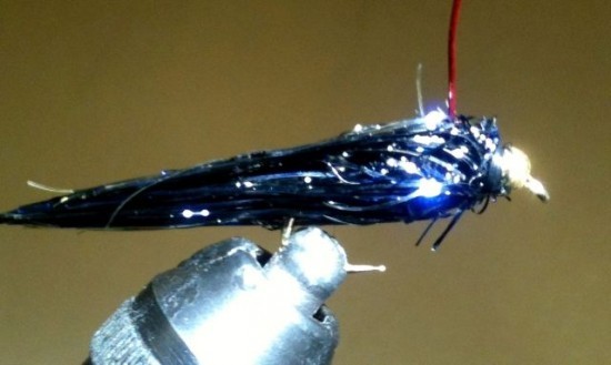 ... the Bipolar Balanced Leech Fly Pattern