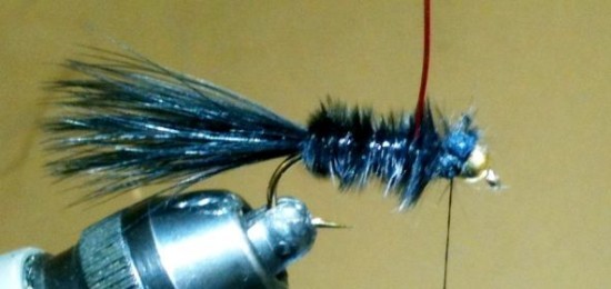 Bipolar Balanced Leech Fly